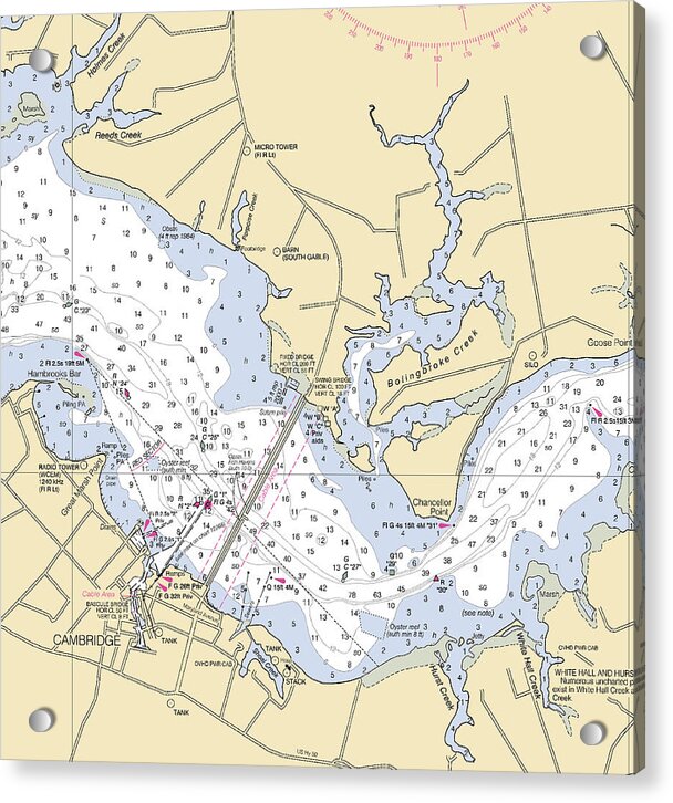 Cambridge -maryland Nautical Chart _v2 - Acrylic Print