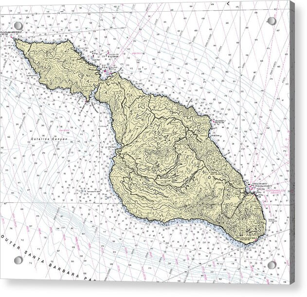 Catalina California Nautical Chart - Acrylic Print