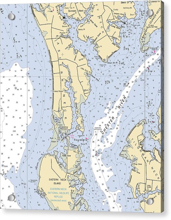 Eastern Neck-maryland Nautical Chart - Acrylic Print