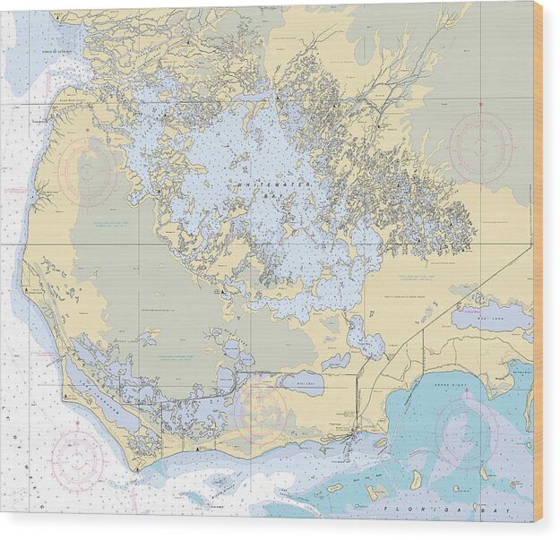 Everglades-flamingo -florida Nautical Chart _v6 - Wood Print