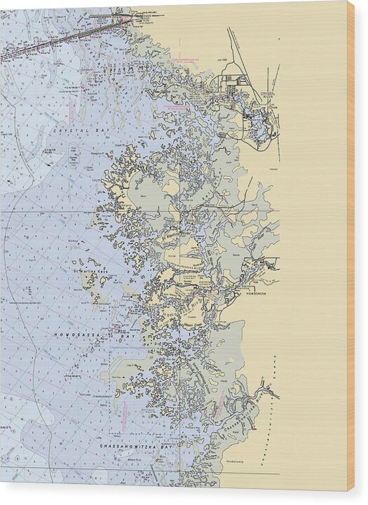 Homosassa-springs -florida Nautical Chart _v6 - Wood Print