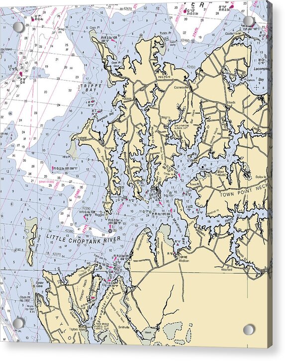 Little Choptank River-maryland Nautical Chart - Acrylic Print