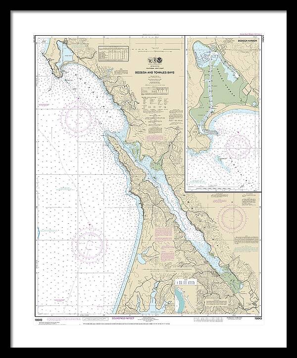 Nautical Chart-18643 Bodega-tomales Bays, Bodega Harbor - Framed Print