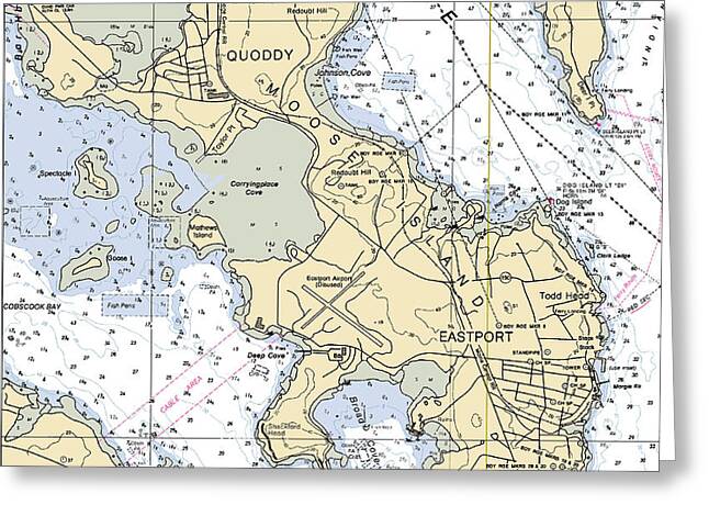 Quoddy Eastport-maine Nautical Chart - Greeting Card