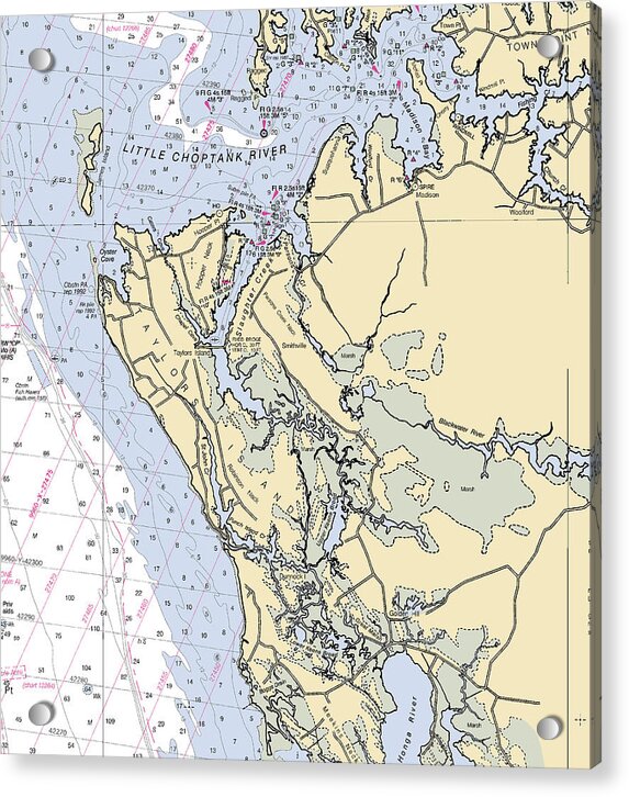 Taylors Island-maryland Nautical Chart - Acrylic Print