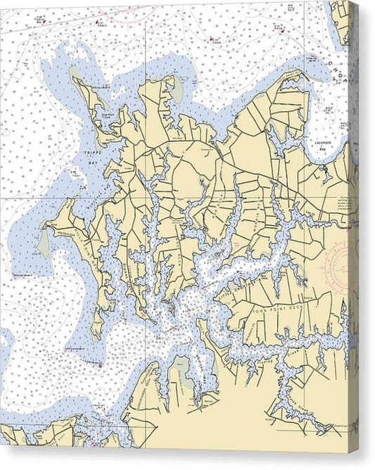 Little Choptank River -Maryland Nautical Chart _V2 Canvas Print