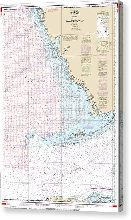 Nautical Chart-1113A Havana-Tampa Bay (Oil-Gas Leasing Areas) Canvas Print