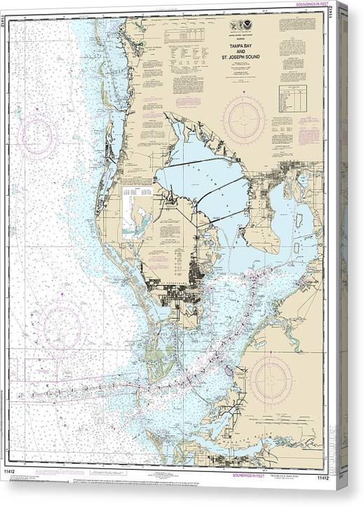 Nautical Chart-11412 Tampa Bay-St Joseph Sound Canvas Print