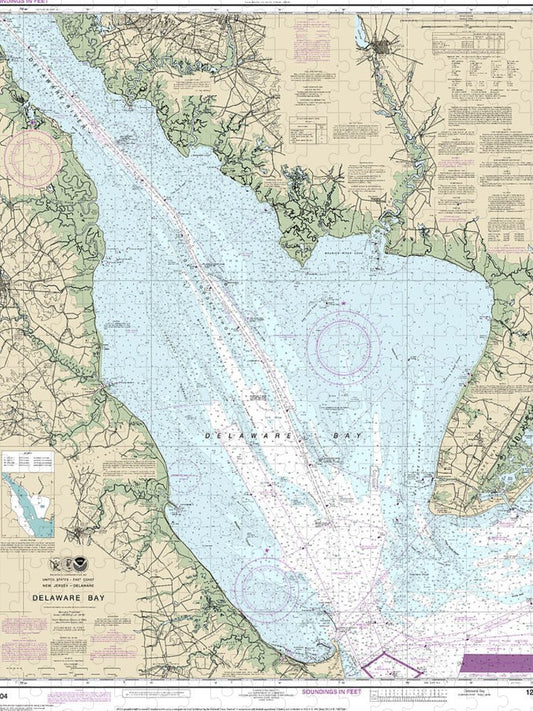 Nautical Chart 12304 Delaware Bay Puzzle