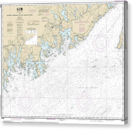 Nautical Chart-13325 Quoddy Narrows-Petit Manan Lsland Canvas Print