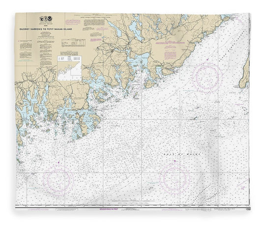 Nautical Chart 13325 Quoddy Narrows Petit Manan Lsland Blanket