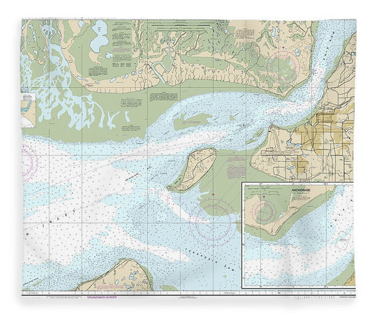 Nautical Chart 16665 Cook Inlet Approaches Anchorage, Anchorage Blanket