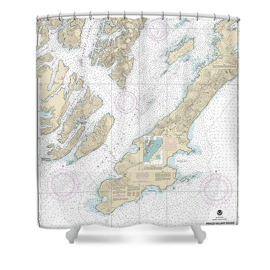 Nautical Chart 16701 Prince William Sound Western Entrance Shower Curtain