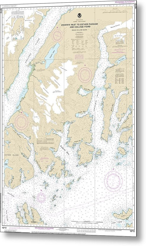 A beuatiful Metal Print of the Nautical Chart-16712 Unakwik Inlet-Esther Passage-College Fiord - Metal Print by SeaKoast.  100% Guarenteed!