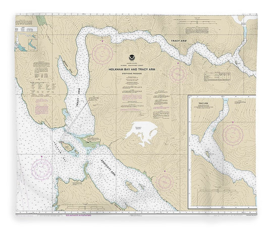Nautical Chart 17311 Holkham Bay Tracy Arm Stephens Passage Blanket