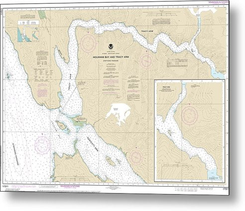 A beuatiful Metal Print of the Nautical Chart-17311 Holkham Bay-Tracy Arm - Stephens Passage - Metal Print by SeaKoast.  100% Guarenteed!