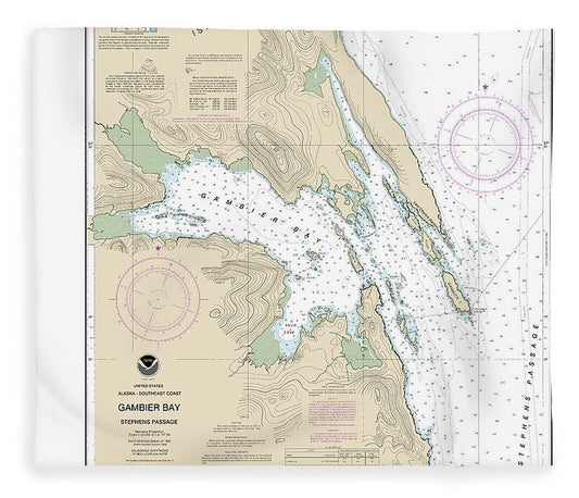 Nautical Chart 17362 Gambier Bay, Stephens Passage Blanket