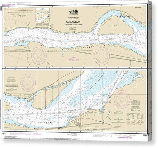 Nautical Chart-18537 Columbia River Alderdale-Blalock Islands Canvas Print