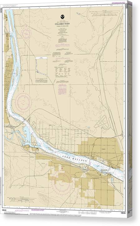 Nautical Chart-18543 Columbia River Pasco-Richland Canvas Print