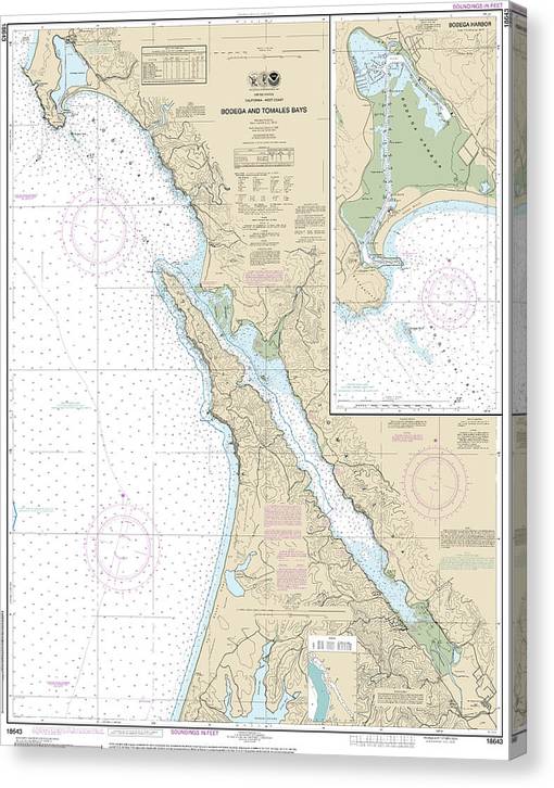 Nautical Chart-18643 Bodega-Tomales Bays, Bodega Harbor Canvas Print