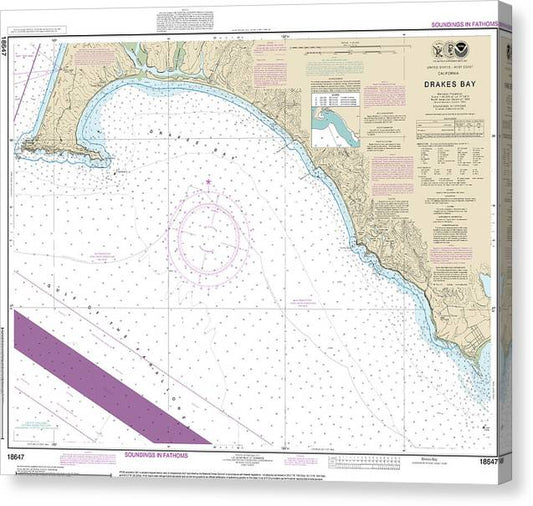 Nautical Chart-18647 Drakes Bay Canvas Print