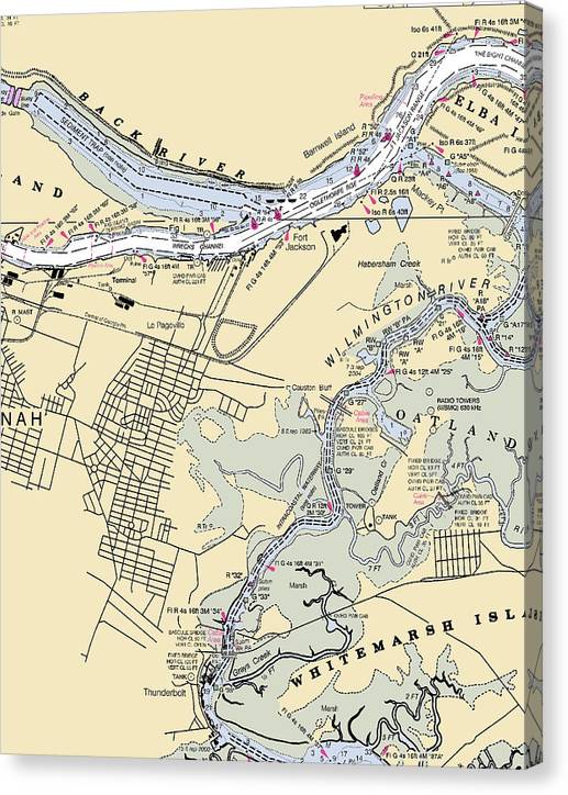 Savannah, GA Nautical Chart Shower Curtain / Made to Order popular