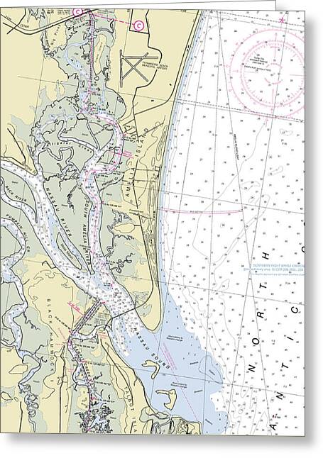 Amelia Island Florida Nautical Chart - Greeting Card