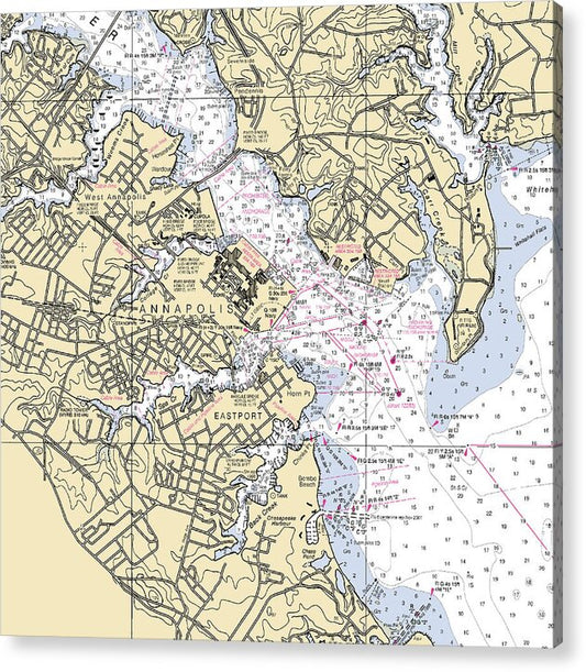 Annapolis -maryland Nautical Chart _v2 - Acrylic Print