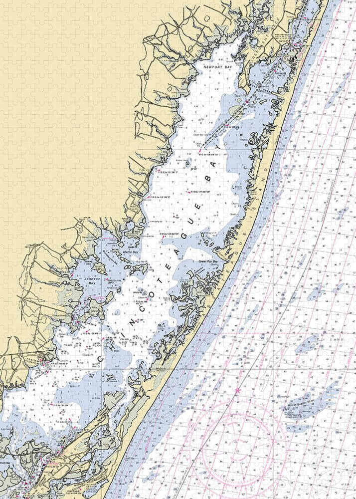 Assateague Island-virginia Nautical Chart - Puzzle