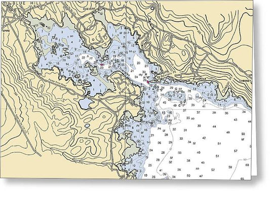 Blue Hill Harbor-maine Nautical Chart - Greeting Card