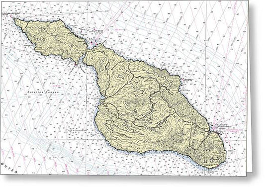 Catalina California Nautical Chart - Greeting Card