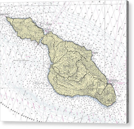 Catalina California Nautical Chart - Acrylic Print