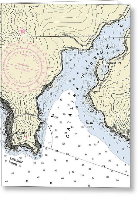 Catalina Harbor California Nautical Chart - Greeting Card
