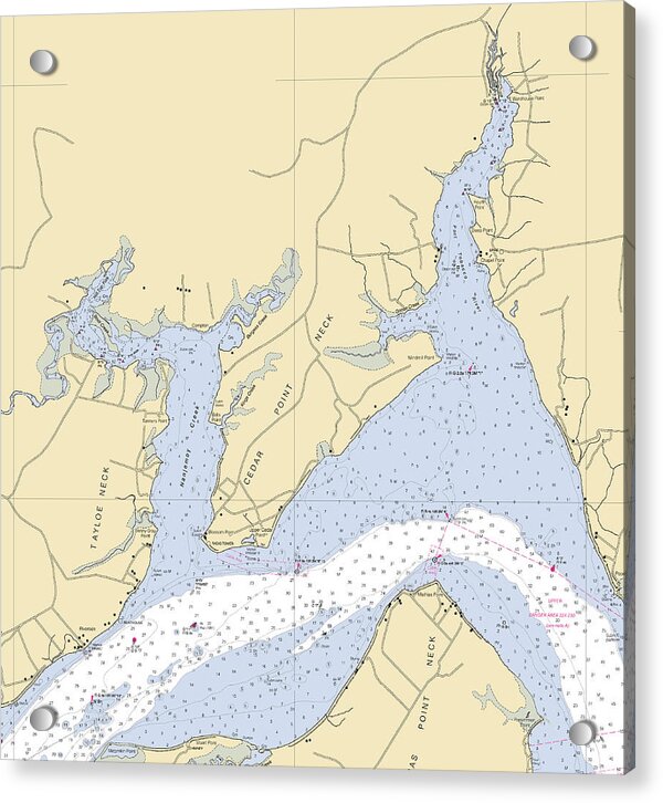 Cedar Point Neck-maryland Nautical Chart - Acrylic Print