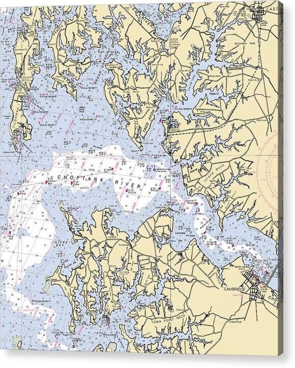 Choptank River-maryland Nautical Chart - Acrylic Print
