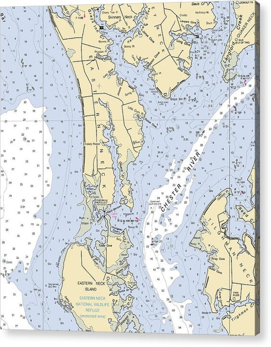 Eastern Neck-maryland Nautical Chart - Acrylic Print