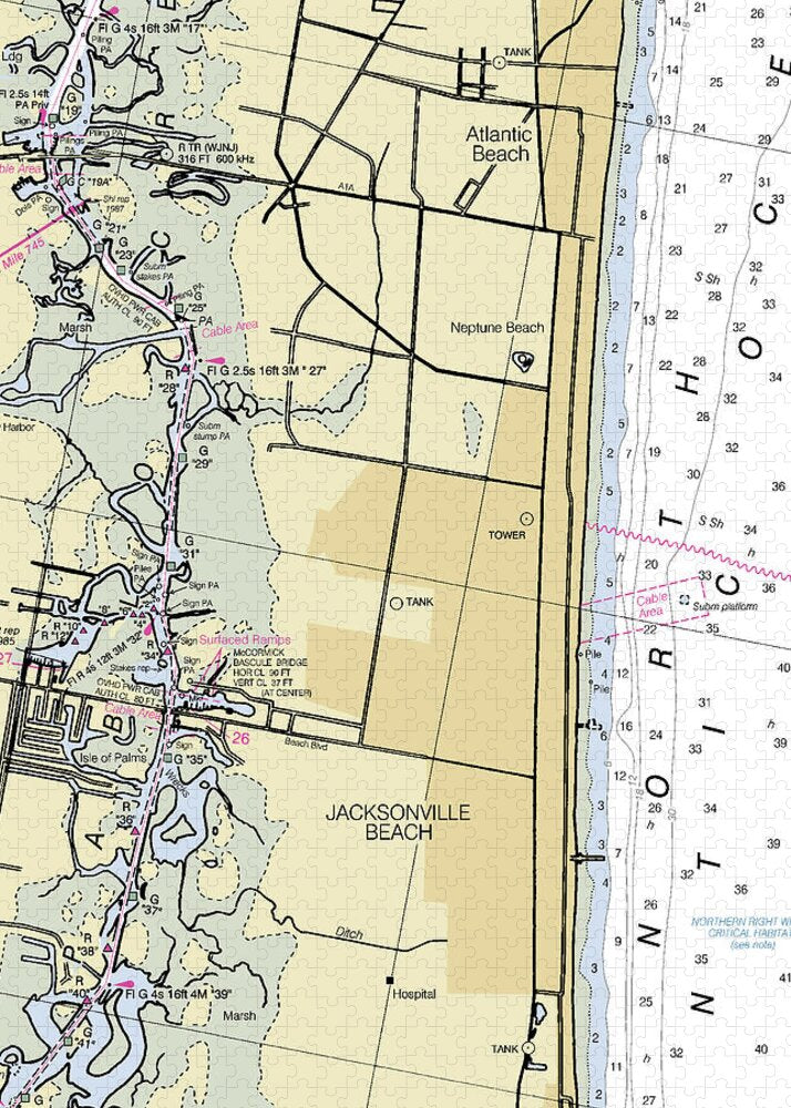 Jacksonville Beach Florida Nautical Chart - Puzzle