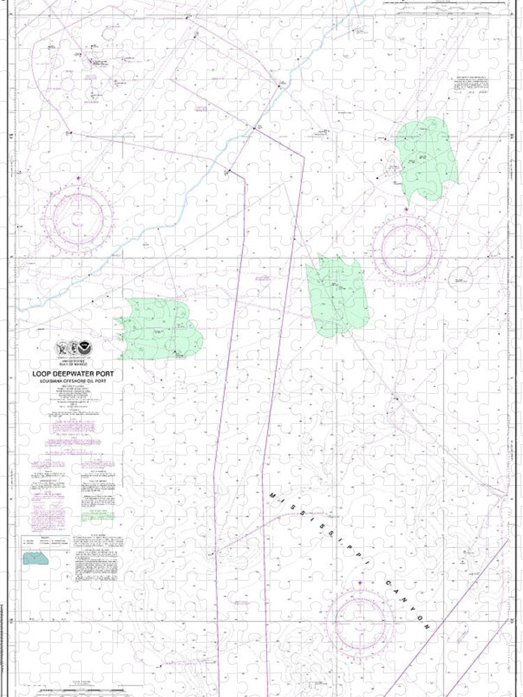 Nautical Chart-11359 Loop Deepwater Port Louisiana Offshore Oil Port - Puzzle