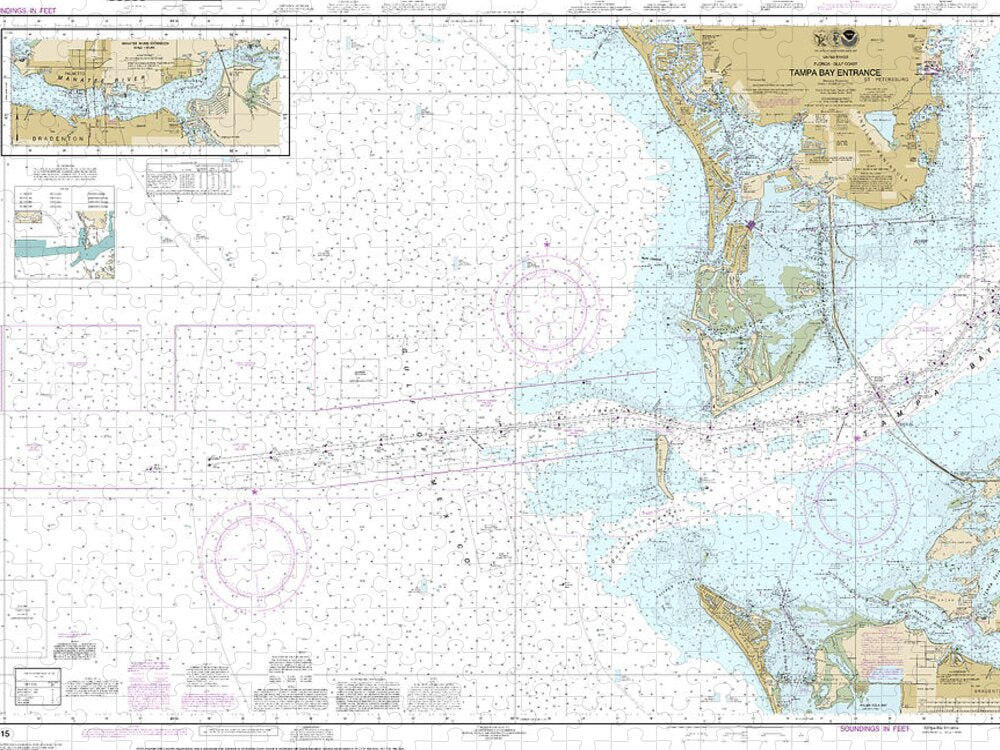 Nautical Chart-11415 Tampa Bay Entrance, Manatee River Extension - Puzzle
