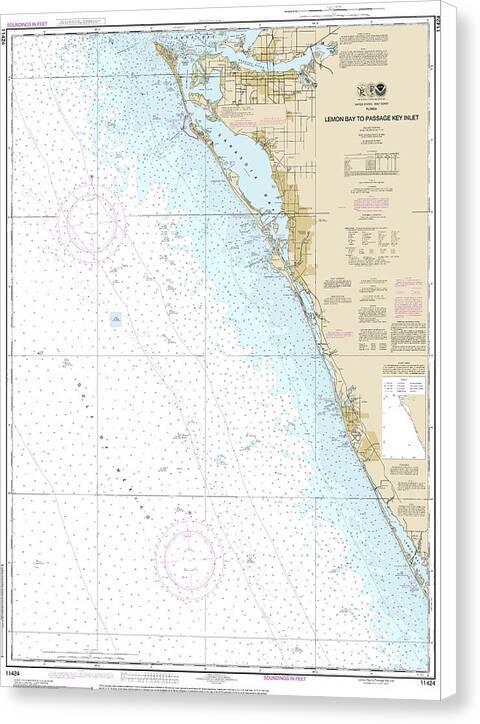 Nautical Chart-11424 Lemon Bay-passage Key Inlet - Canvas Print