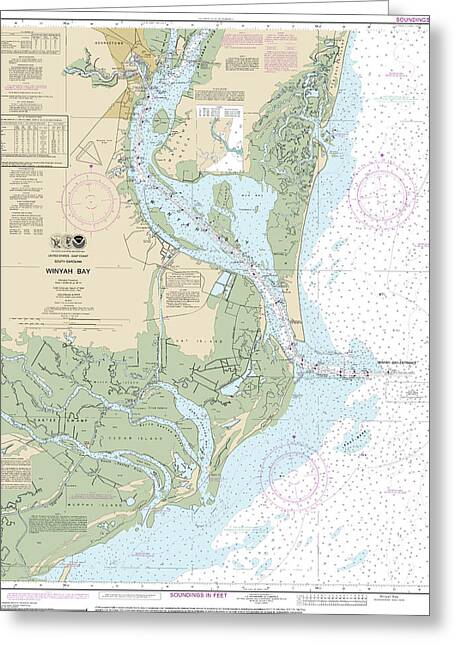 Nautical Chart-11532 Winyah Bay - Greeting Card