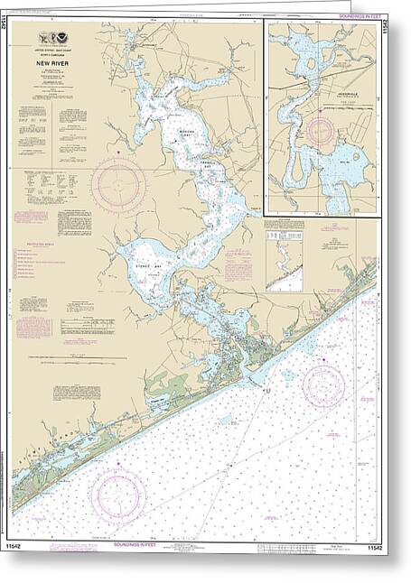 Nautical Chart-11542 New River, Jacksonville - Greeting Card
