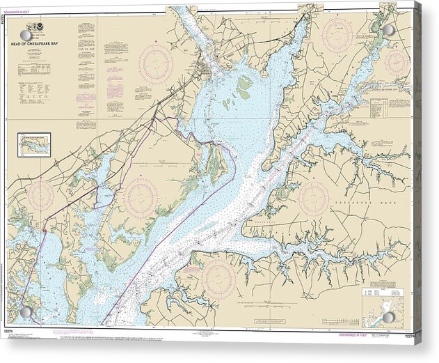 Nautical Chart-12274 Head-chesapeake Bay - Acrylic Print
