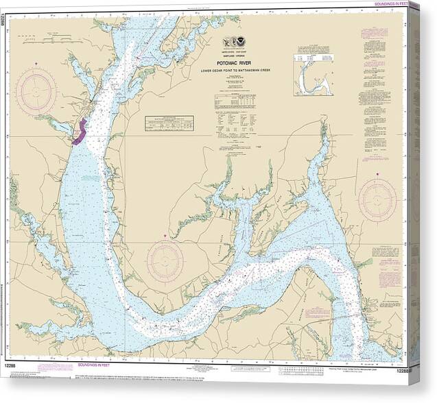 Nautical Chart-12288 Potomac River Lower Cedar Point-mattawoman Creek - Canvas Print