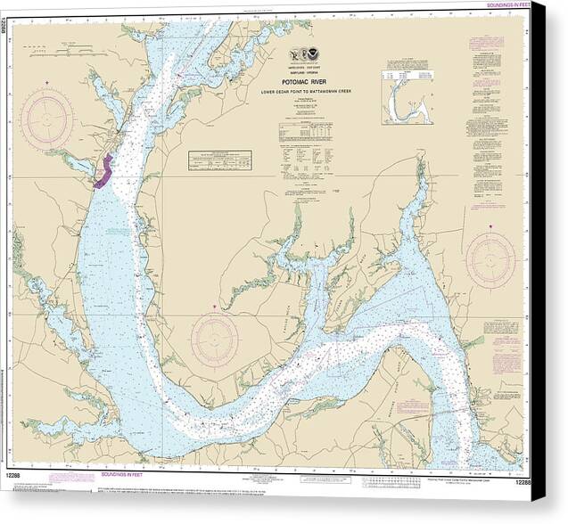 Nautical Chart-12288 Potomac River Lower Cedar Point-mattawoman Creek - Canvas Print