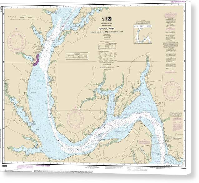 Nautical Chart-12288 Potomac River Lower Cedar Point-mattawoman Creek - Canvas Print