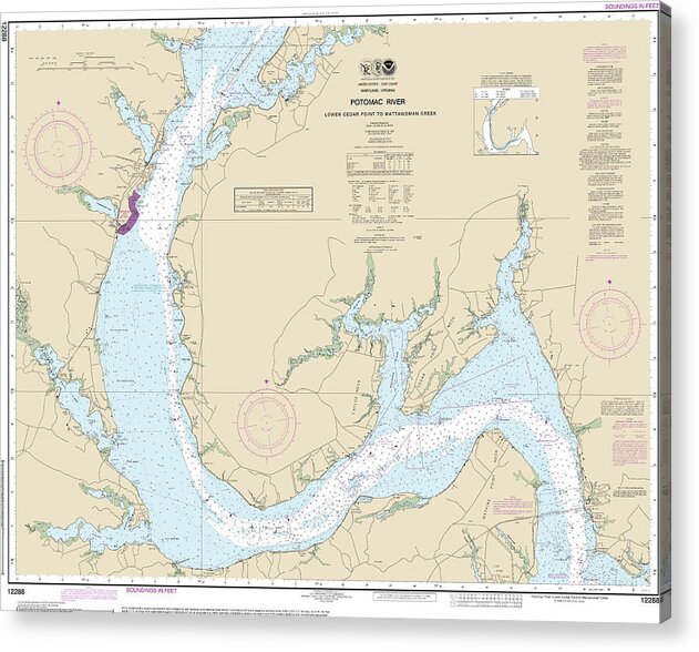 Nautical Chart-12288 Potomac River Lower Cedar Point-mattawoman Creek - Acrylic Print