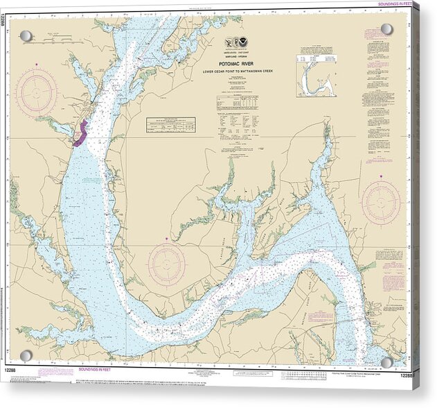 Nautical Chart-12288 Potomac River Lower Cedar Point-mattawoman Creek - Acrylic Print