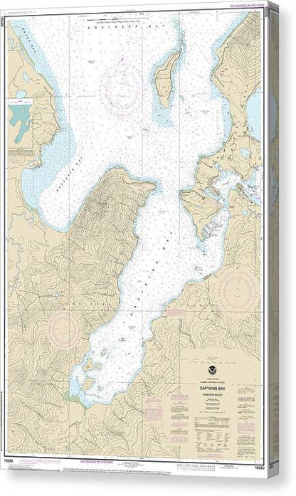 Nautical Chart-16530 Captains Bay - Canvas Print