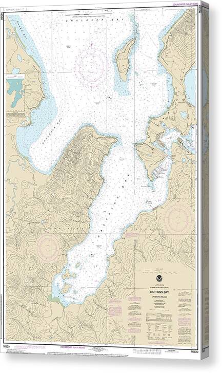 Nautical Chart-16530 Captains Bay - Canvas Print
